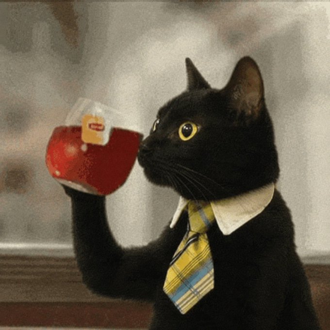 Business Cat artwork 2